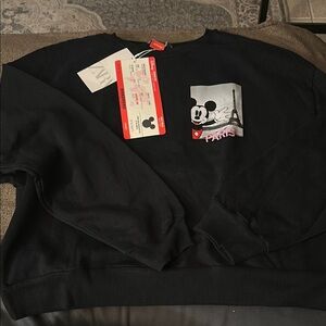 Zara Disney Paris Sweatshirt
